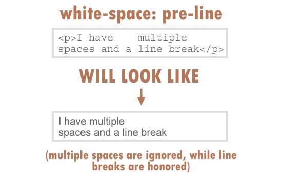 The CSS white-space Explained